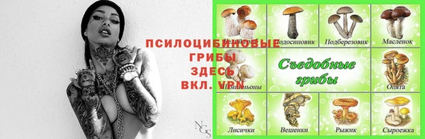 дживик Гусиноозёрск