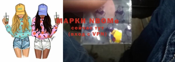 apvp Гусев