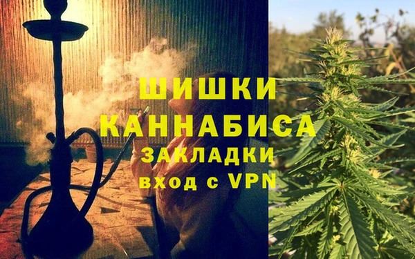 apvp Гусев