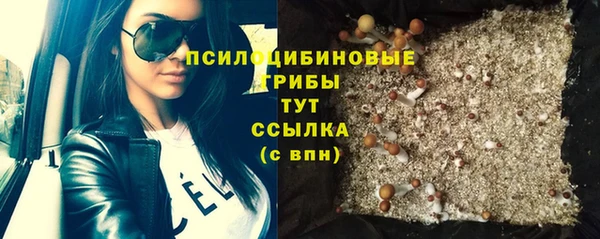 прущая мука Гусь-Хрустальный