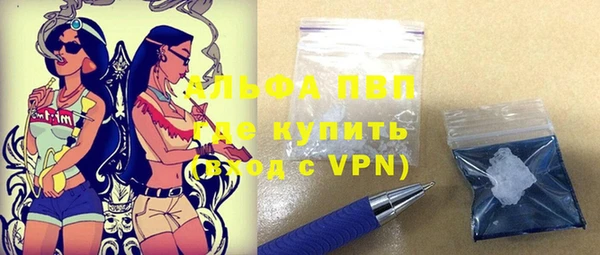 apvp Гусев