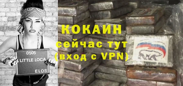 apvp Гусев