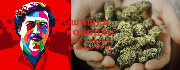 дживик Гусиноозёрск